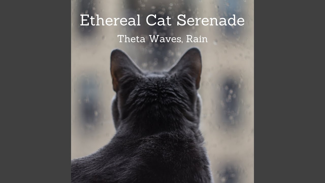 Radiant Cat Echoes Theta Waves, Rain Voyage