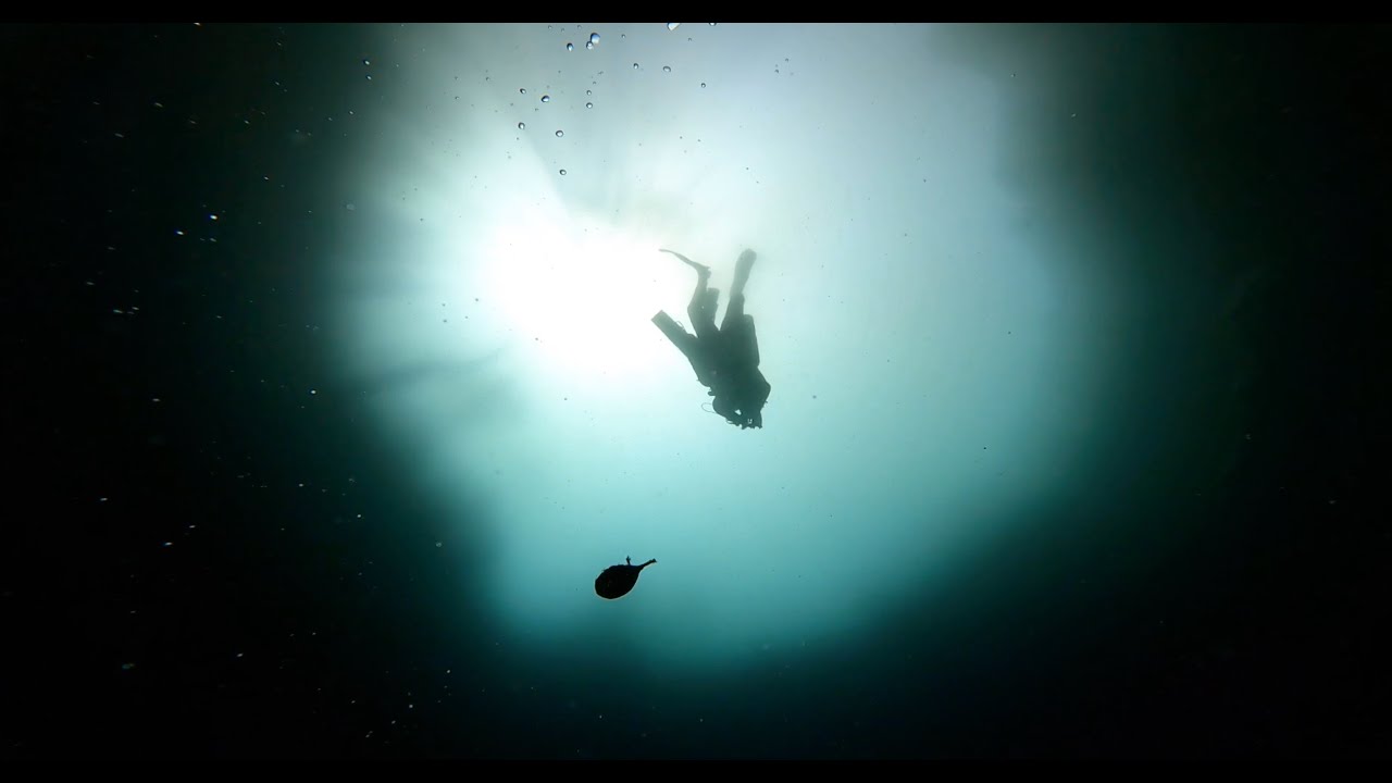 Central Eleuthera Cave Diving YouTube