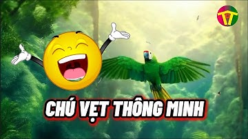Chú vẹt thông minh - phim ngắn - hài hước không nhịn được cười - Tôi tập làm phim - video số 5