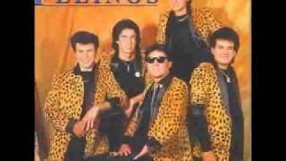 los felinos "morena" chords