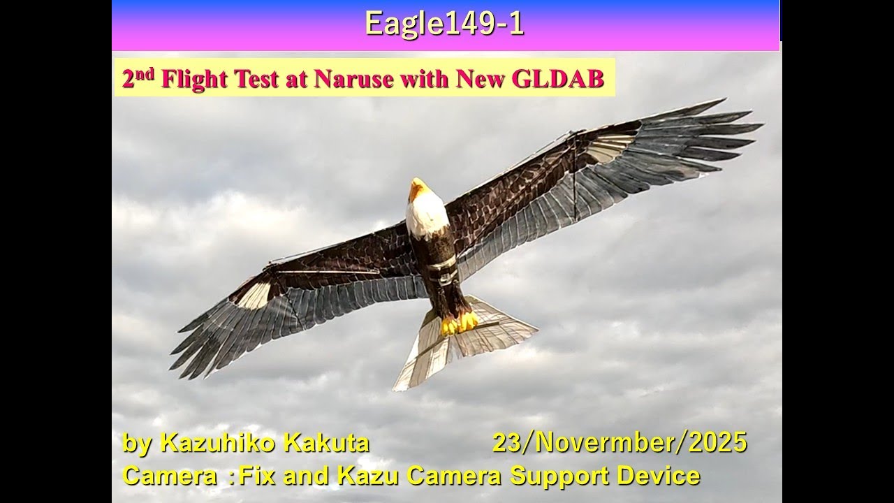 Ornithopter ハクトウワシ型羽ばたき機　 Eagle149-1 Wingspan240cm :2nd Flight Test at Naruse with New GLDAB