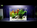 STEP BY STEP: how to set up a NANO fish tank, shrimp aquarium, planted tank