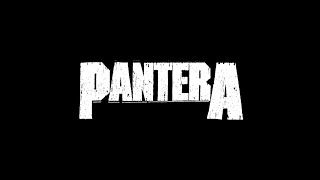 История группы Pantera