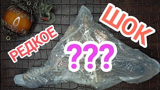 🆘 Мама дорогая у меня ШОК от этих редких находок! #распаковка #находки #обзор