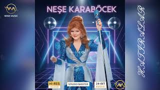 Neşe Karaböcek Hatiralar 54 Cover Remi̇x 2026