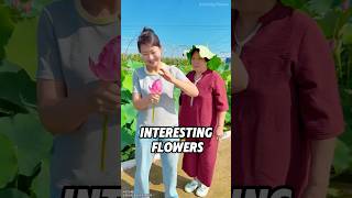 Download Lagu Interesting flowers MP3 Download Lagu Interesting flowers MP3