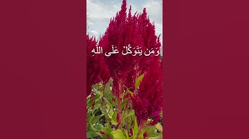 #قرآن #تلاوة_خاشعة #تلاوة_هادئة #راحة_نفسية #اكسبلور