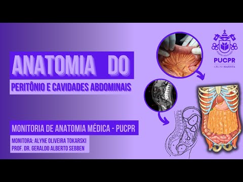 Vídeo: Onde está localizada a cavidade peritoneal?