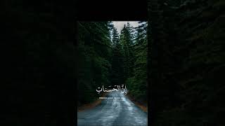 (وأقم الصلاة طرفي النهارِ وزلفًا من الليلِ) القارئ اسلام صبحي 😴😴