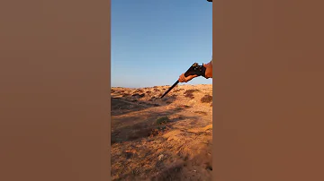 صيد القمري في مرسي مطروح 