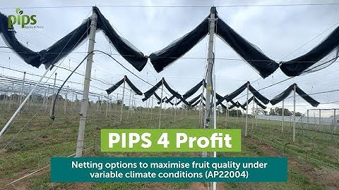 Netting options to maximise fruit quality under variable climate conditions (AP22004)