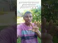 Se vc crê nesta palavra deixa o seu amém compartilhar