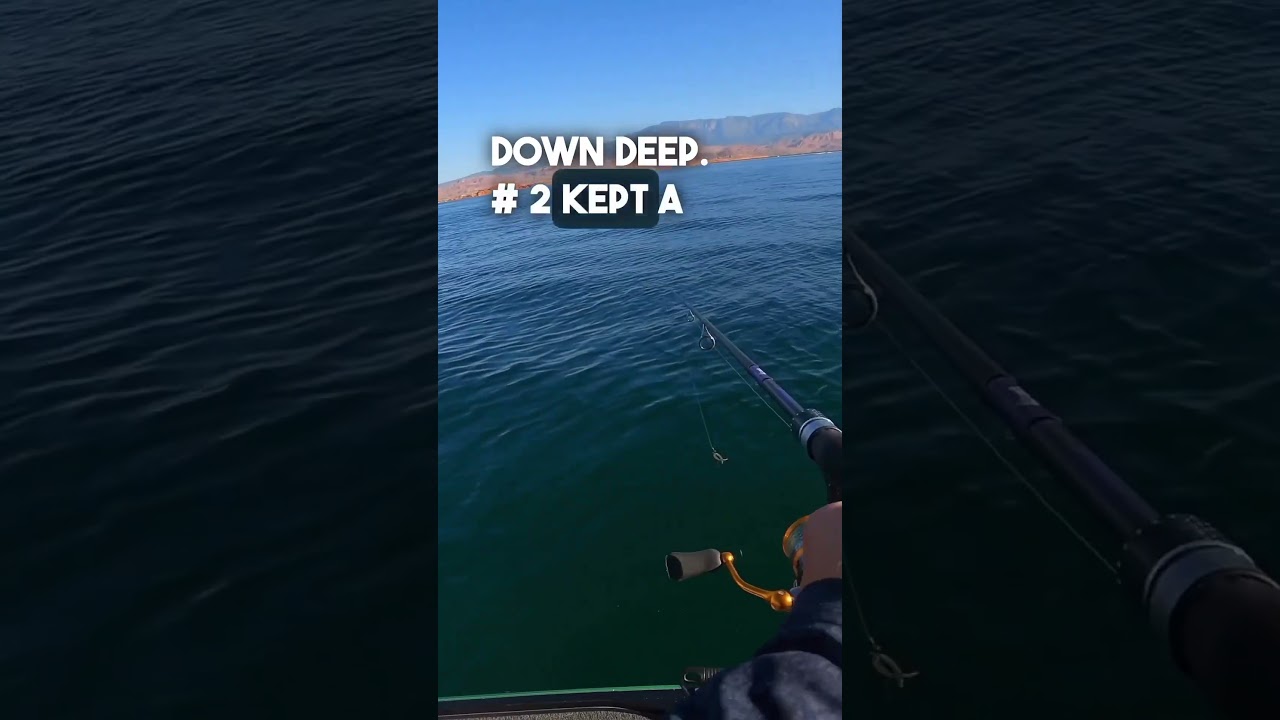 4 secrets to fishing deep summer bass like the pro's 