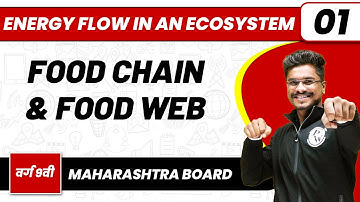 ENERGY FLOW IN AN ECOSYSTEM 01 | Food Chain & Food Web | Biology | Class 9th/Maharashtra Board