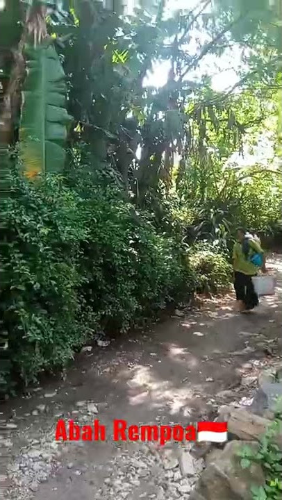 tukang jamu gendong lewat rawa bangke