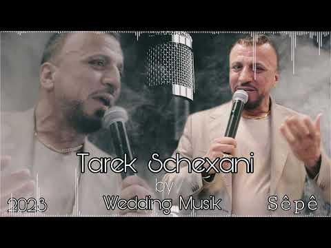 Tarek Shexani Verda Gaure Verda طارق شيخاني فردا كوري فردا By Wedding Music 2023 