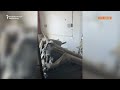 Kyiv Apartment Exterior Heavily Damaged In Drone Strike