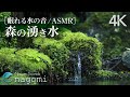 【水の音/ASMR】やさしい湧き水の音｜水の音・睡眠BGM｜ヒーリング自然音・Water Sounds