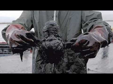 Human Impact on Ocean Life!- Make a Wave - YouTube