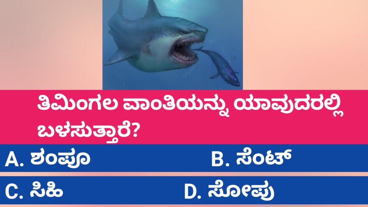 Timingala intersting facts kannada shark fish RRBROTHERSWORLD