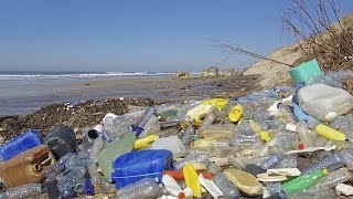 Could This One Simple Trick Stop The Global Pollution Problem?