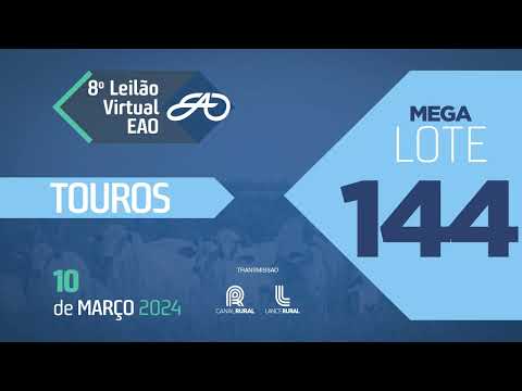 MEGA LOTE 144