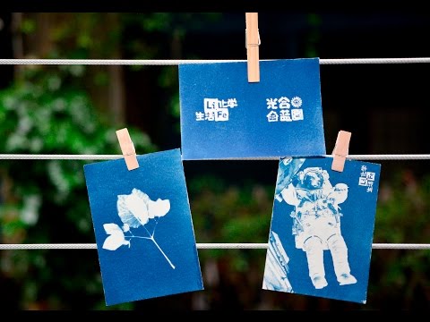 【LiFe生活化學】藍曬圖 藍圖 攝影 光合藍圖教學步驟