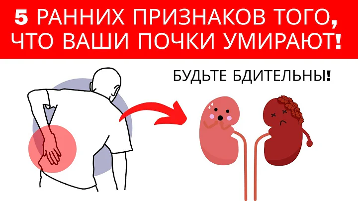 Избегайте диализа: 5 ранних признаков повреждения почек, которые нельзя игнорировать