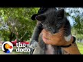 Crying Kitten Converts Boyfriend Into Cat Person | The Dodo