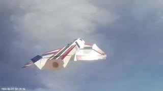 Bird of Prey flight 2 YouTube