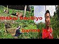 LA GUYS MAKAI BHACHI SAKYO HY Vlogs Gauleyvlog LA GUYS MAKAI BHACHI SAKYO HY Vlogs Gauleyvlog