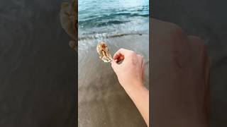 Rescuing Real Life SpongeBob From Drying Up! #shorts Wealth