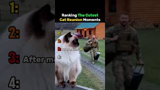 Ranking The Cutest Cat Reunion Moments #cat
