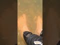 Чусовая. Пилинг рыбками