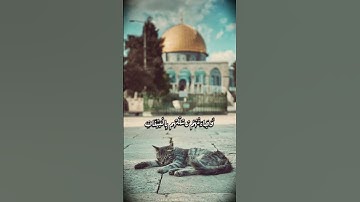 (وَلَقَدْ أَهْلَكْنَا الْقُرُونَ مِن قَبْلِكُمْ لَمَّا ظَلَمُوا) ||سورة يونس ||عبد الرحمن مسعد.✨️