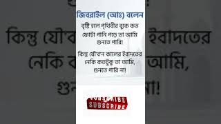  Subcarib My Channel islamicholysite qtow mychannel qsanit youtube