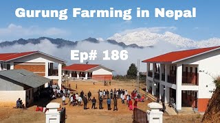 Volunteer Farming in Ghurka, Nepal | Ep# 186 by Routes of Change 943 views 1 year ago 18 minutes