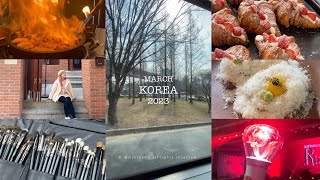 VLOG memo in KOREA 2023 (March) ทริปเกาหลี กิน ช้อป คอนน้องเค้ก | myktbelle