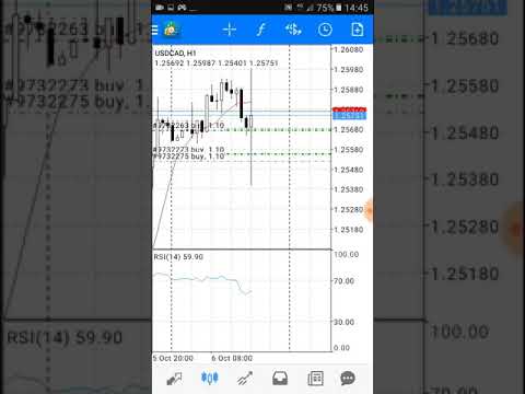 Forex Kid Za - 