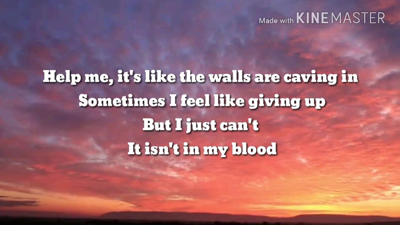 SHAWN MANDES ON MY BLOOD LYRICS VIDEO YouTube