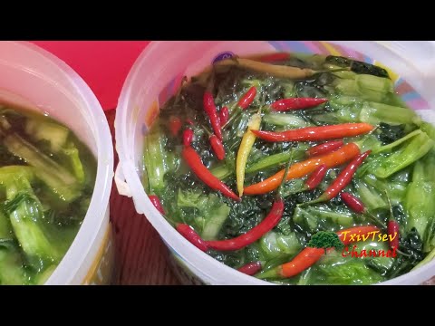 Qhia Ua Zaub Qaub (Hmong Pickled Mustard Green)