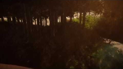 Forest day Scene Unity HDRP