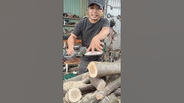 cưa xích pin 8inch workfix bơm nhớt tự động, không chổi than