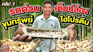 คลิป 1 | แอร์ ตามล่าหารถด่วนขบวนไม้ไผ่ อาหารโปรตีนสูง! ที่จังหวัดเชียงราย | SUPER100