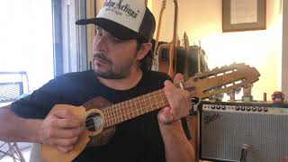 Cuerdas Medina Artigas para Charango