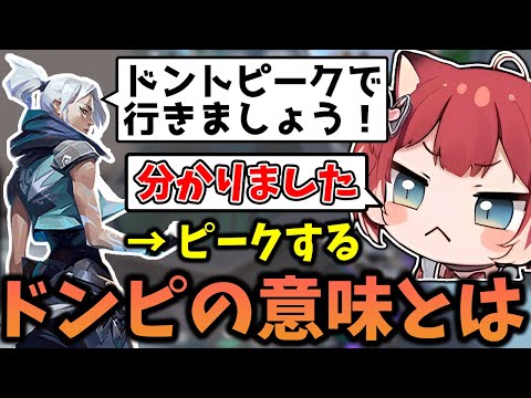 ドンピをドンドンピークと勘違いしてる人【赤見かるび /切り抜き】【VALORANT】