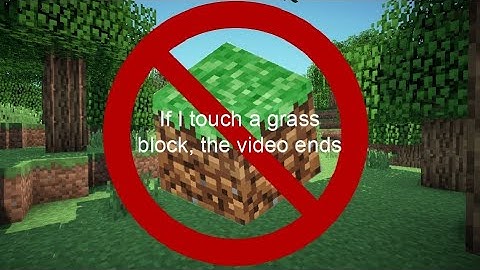 If I touch a grass block in minecraft, the video ends