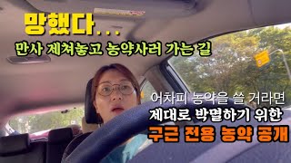 ☠️ 농약을 인터넷으로 사면 안 되는 이유, 뿌리응애 농약, 구근 살균제와 살충제 추천