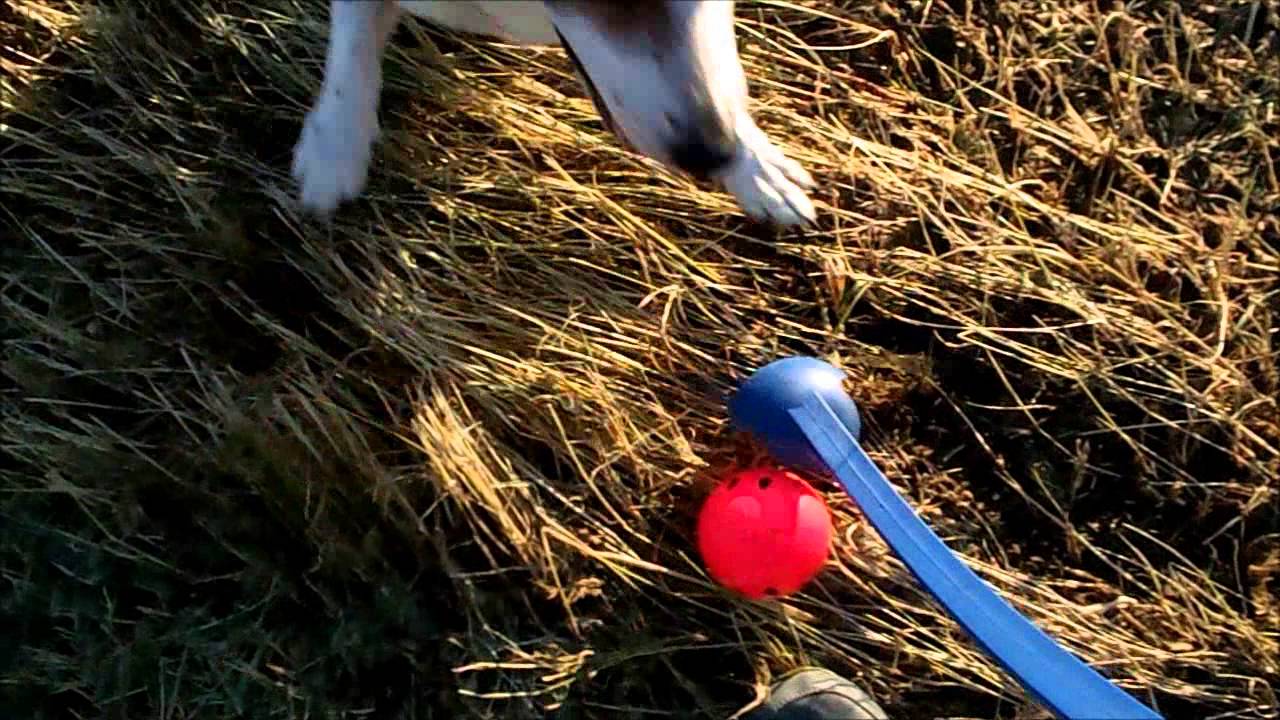like a prayer 05-06-2014 vlog day 79 in flanders field's where poppy's grow