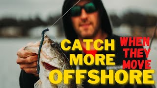 A Perfect POST SPAWN Technique to CATCH MORE BASS || Dropshotting Deep Structure